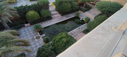 IMG-20241117-WA0038