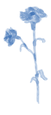 Untitled_Artwork 15_edited_edited.png
