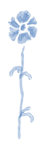 Untitled_Artwork 15_edited.png