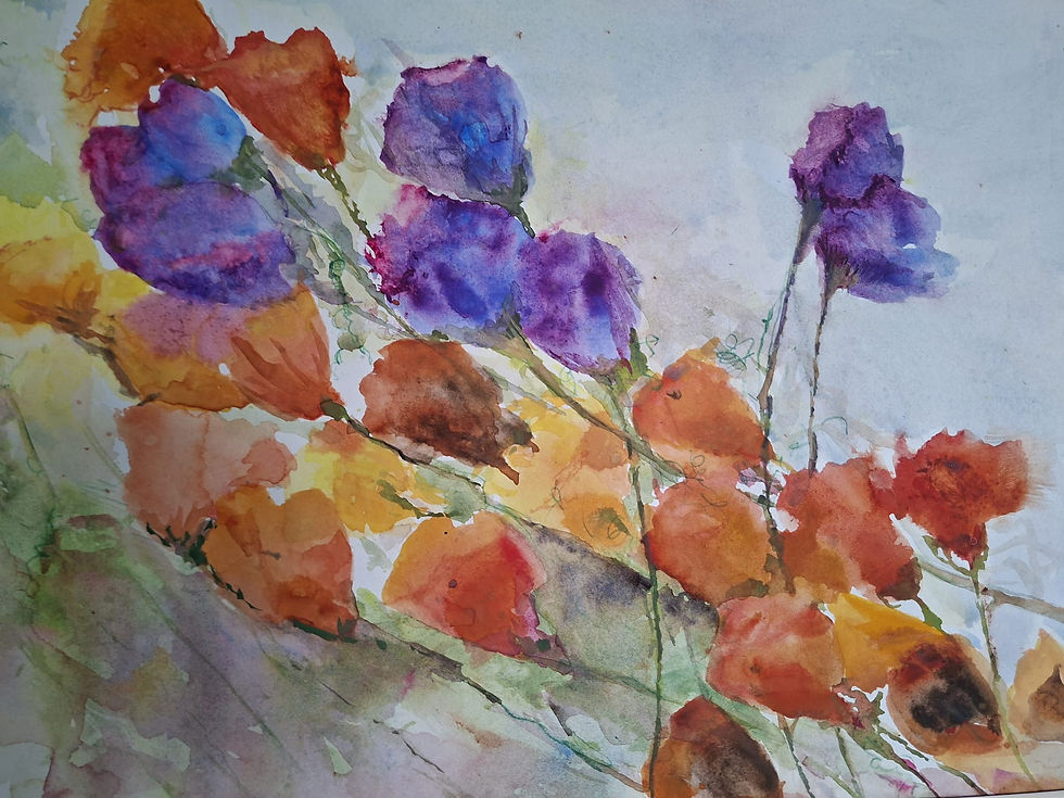 colorful poppies