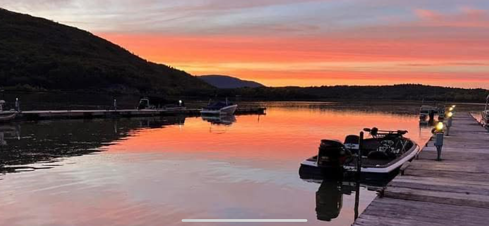 There’s more out here than just fish