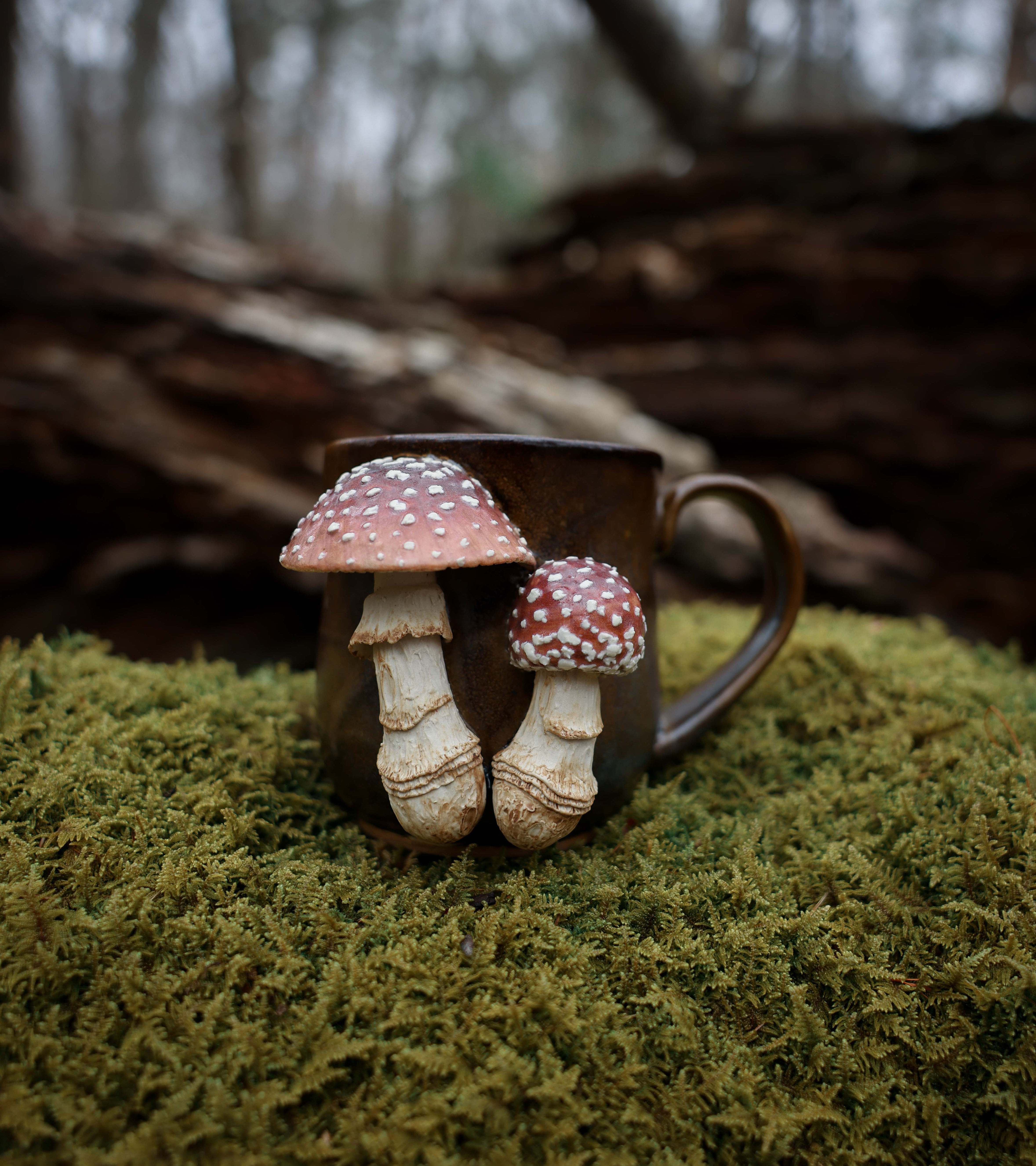 Amanita rubescens Pair Mug