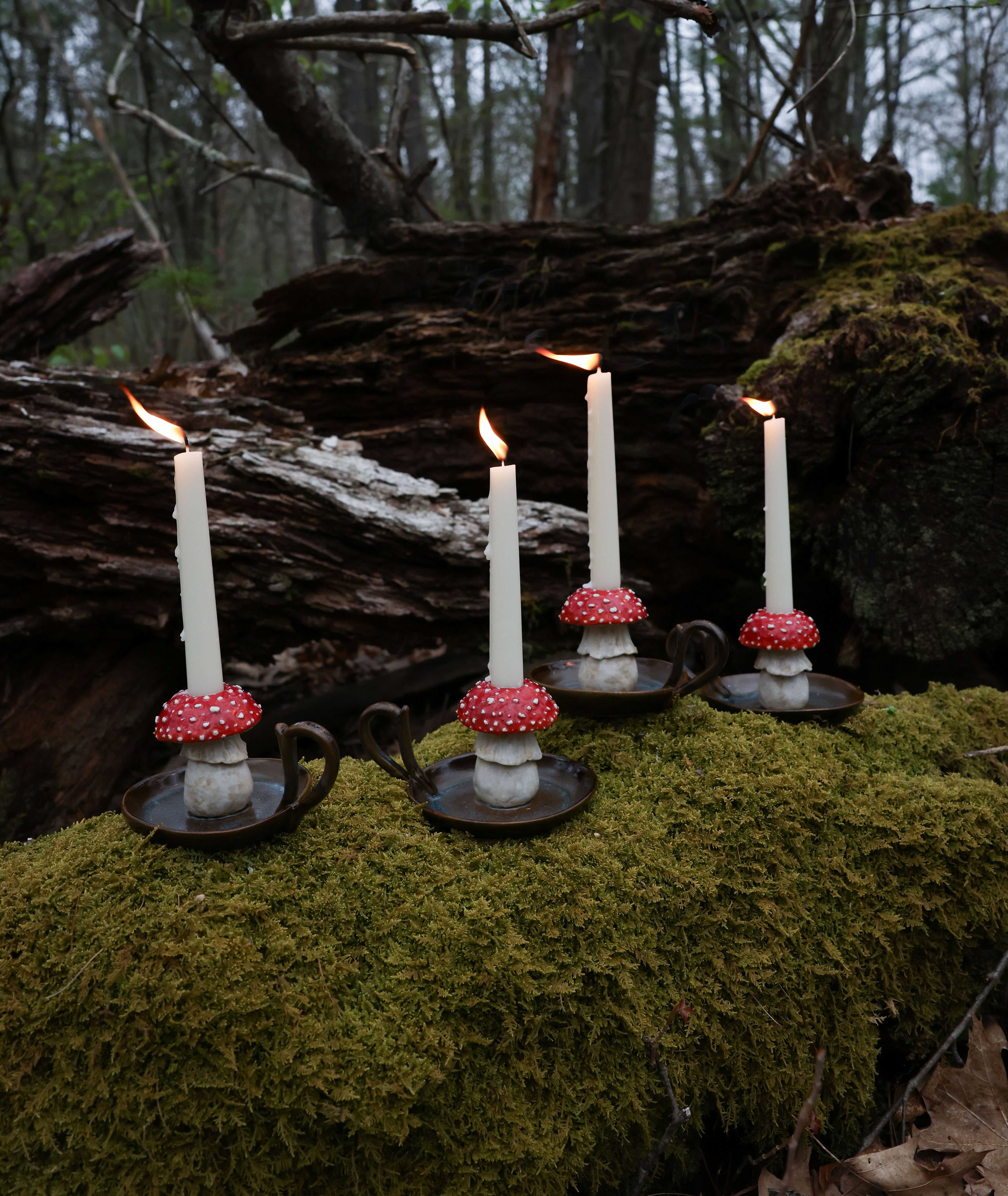 Brown Amanita Candlestick Holder
