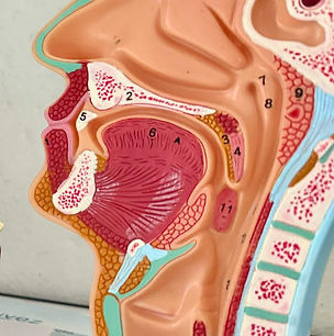 Compensation Frenzel | Mouthfill (perfectionnement 30m et +)