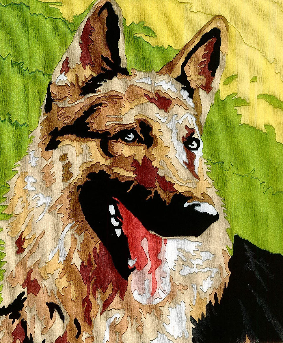 Anchor Stitch Kit - Goofy the Dog Active