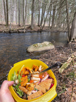 Ladies who lunch...in the bush