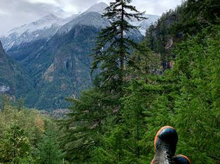 My Forestry Journey