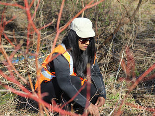 Diversity strengthens forests
