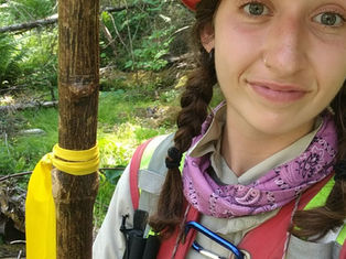 Giving back to forests