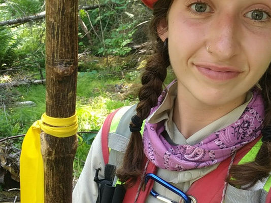 Giving back to forests