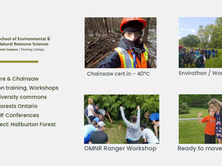 Forestry is a lot more than lumberjacks and big machines