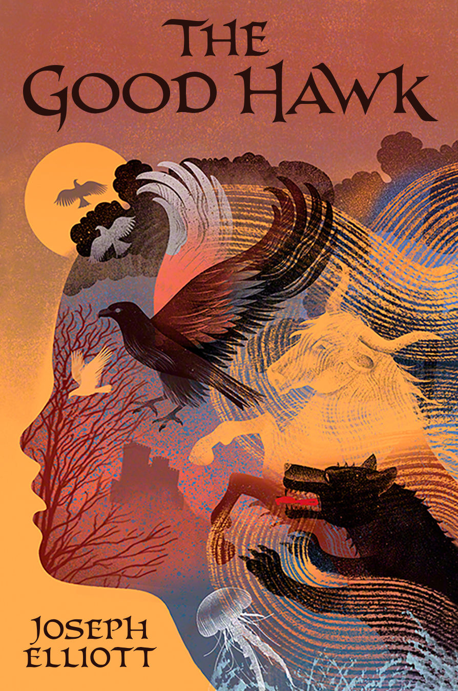 The Good Hawk - US Cover
