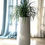Miniature : Phormium vert grand modèle avec pot blanc arrondi