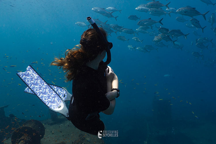 SouthFace Lightroom-743.JPEG