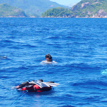 Top 10 Freediving Spots on Mahe Island, Seychelles