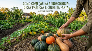 Como Começar na Agroecologia: Dicas Práticas e Colheita Farta