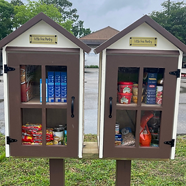 Little Food Pantry (20).png