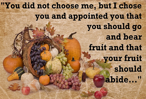 Untitled design - 2025-10-07T104219.270.png