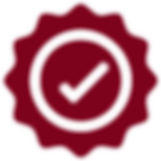 Bullet Point Shaped as an Award Ribbon with a checkmark inside