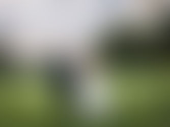 Bride and Groom in a lush grassy field