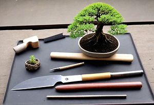 Bonsai Pots