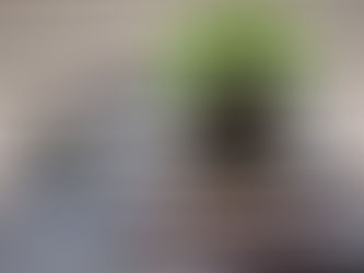 Getting Started with Bonsai