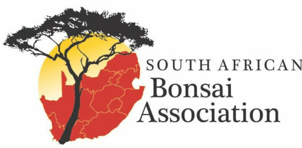 NEWSLETTER - MAY 2026