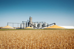 THE AGRICULTURAL AND AGRI-FOOD SECTOR IN CANADA