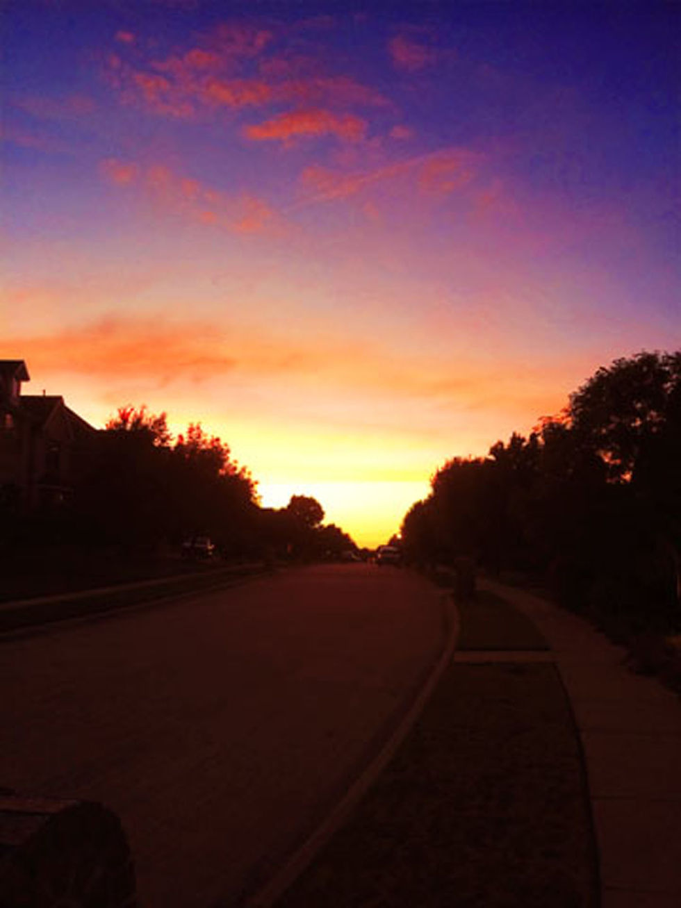 Sunset