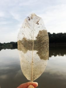 When we are transparent it means there is no spin, there is no smoke-screen of anger and there are no defences in sight.