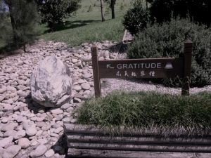 relationship insights