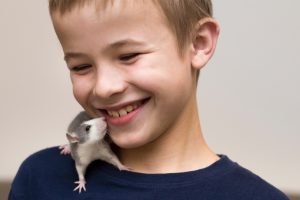 When you are a child, taking care of a pet is a serious responsibility. Happiness comes from responsibility.