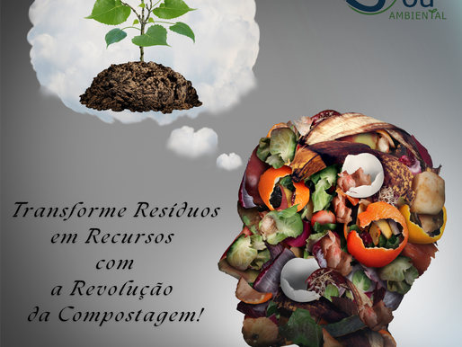 Compostagem: O Passo Decisivo Para um Futuro Sustentável