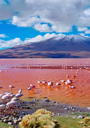 Bolivia 1.jpg