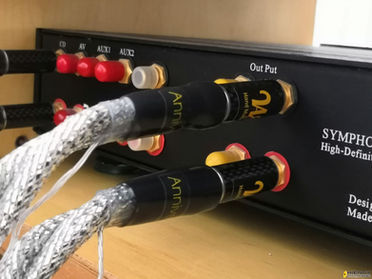 Wilson's Audio Lab Anniversary RCA