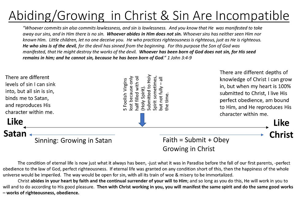 Christ Our Righteousness Chart No EGW book  listed_edited.jpg