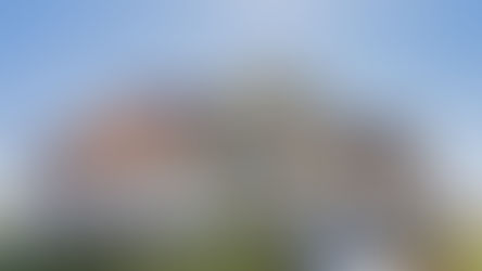 Maximizing Protection While Minimizing Costs