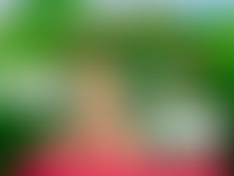 Stop Misnaming our Whenua