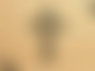 In Defence of Our Tūpuna: Māori and Christianity