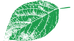 p-葉っぱ1.png