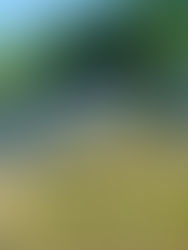 7月27日(火) 久しぶり