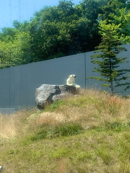 7月27日(火) 久しぶり