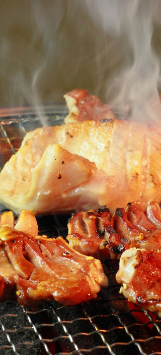 公式】十七輪 | ジオ・トーロ | 東洋炉材株式会社