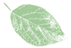 p-葉っぱ2.png