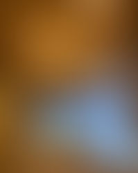 11月6日(土) トークショー その②