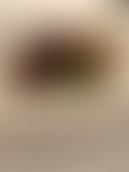 11月4日(木) 試食会