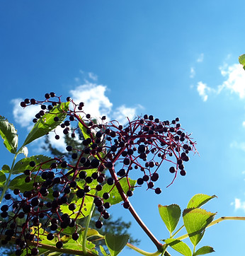 20250910_145531.jpg