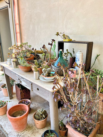 Fontes Episcopi Bio Resort, Agrigento, Sicilia, Italy