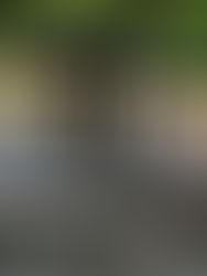 Wine and Dine i Ravello…