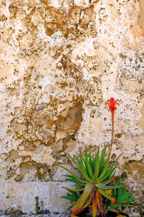 The vibrant and famous colors of Marzamemi, Sicily